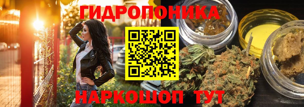Бошки марихуана конопля  Вход с VPN  Кушва  Каннабис VHQ  Марихуана тримм 